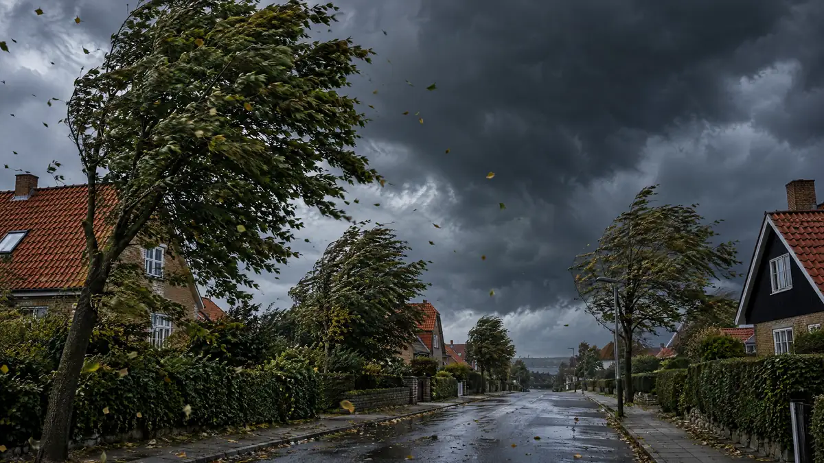 Mørke stormskyer over en dansk villavej med træer der bøjer i vinden